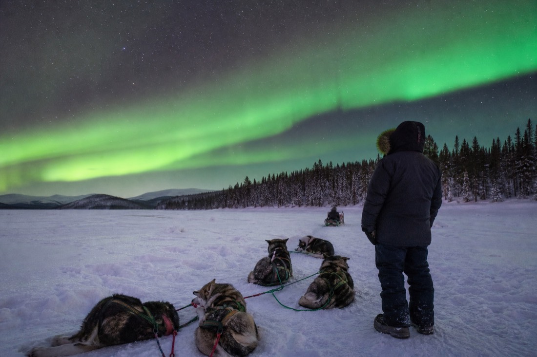Warmly dressed visitor in a rental parka standing beside a resting sled dog team on a frozen lake
