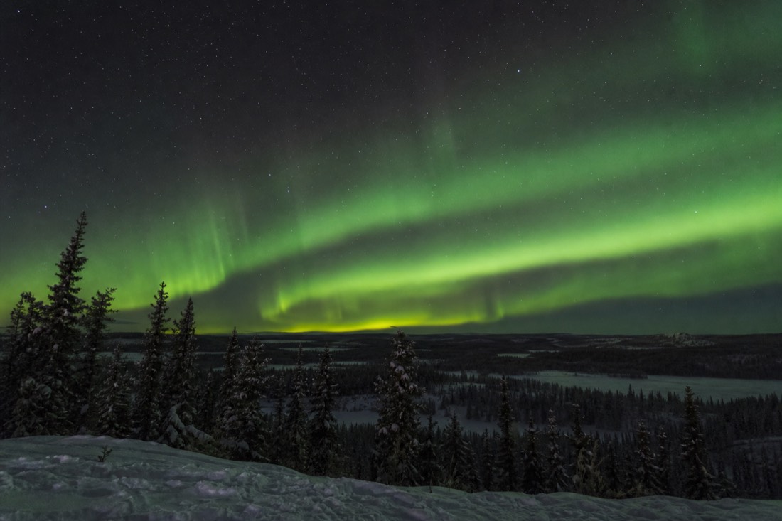 Green aurora bands over dark spruce at a viewpoint outside Yellowknife late on a March night
